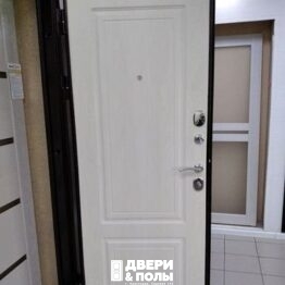 дверь металлическая 10 см Толстяк РФ Белый Ясень